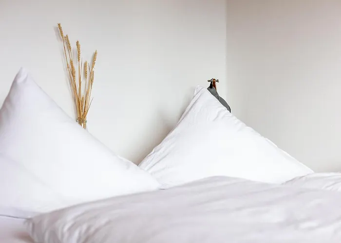 Dik Hout * ヒパッハ